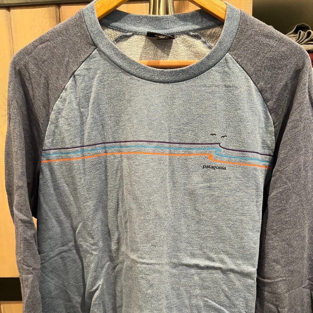 Light blue Patagonia Organic Cotton long sleeve pullover